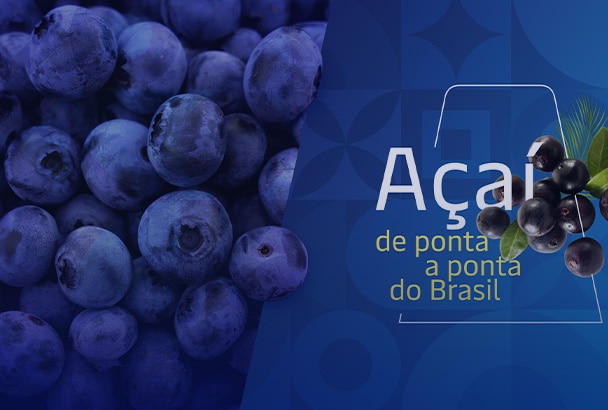 Aliança: a excelência em transporte de container de açaí